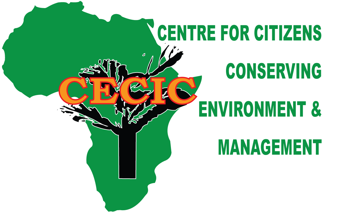 CECIC logo