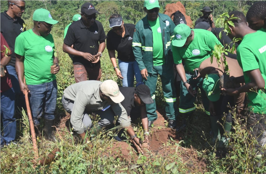Picture of tree planting at Mountain Elgon