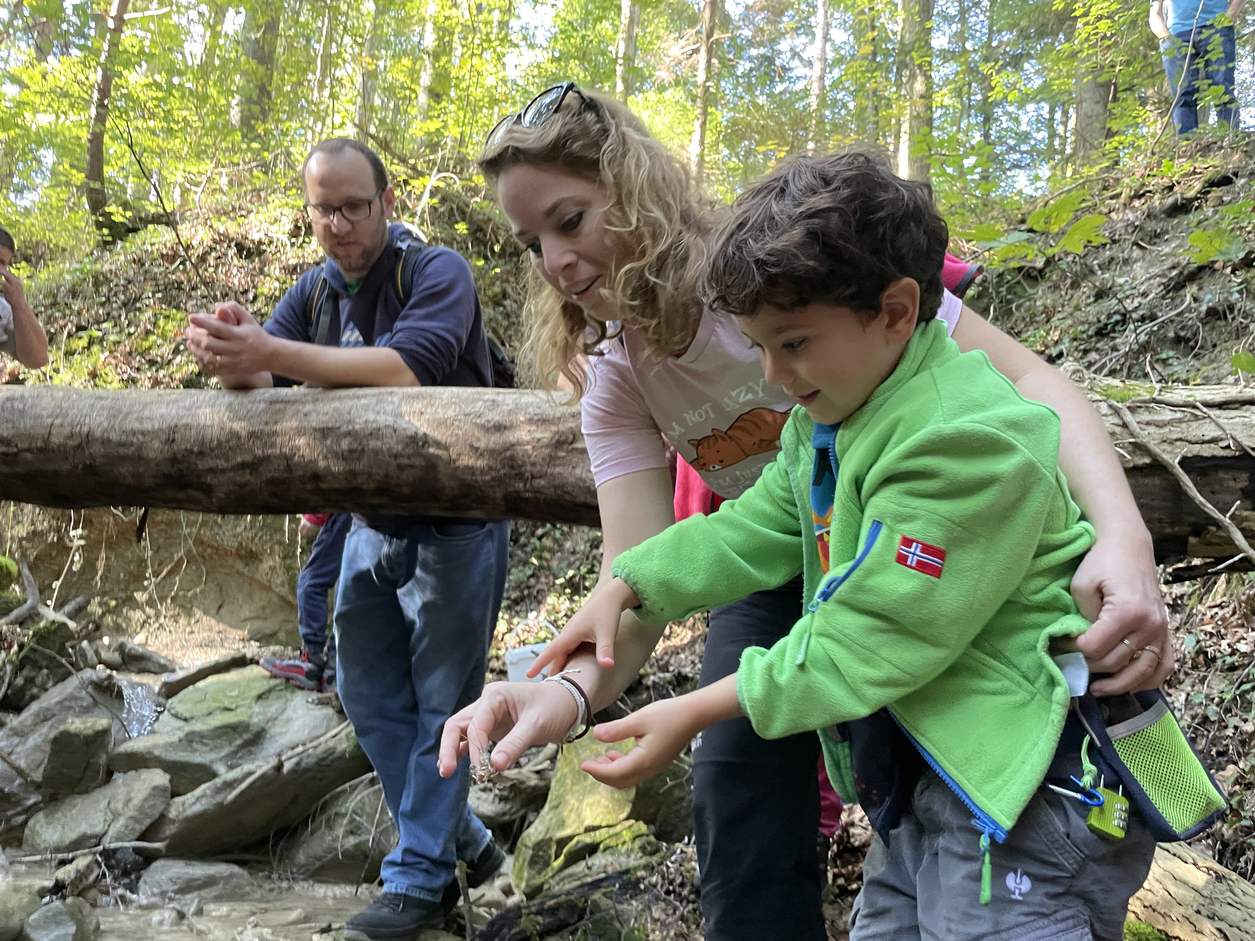 Lively interest in an endangered native species: over 40 members of the friends of Wildnispark Zurich took part in the reintroduction