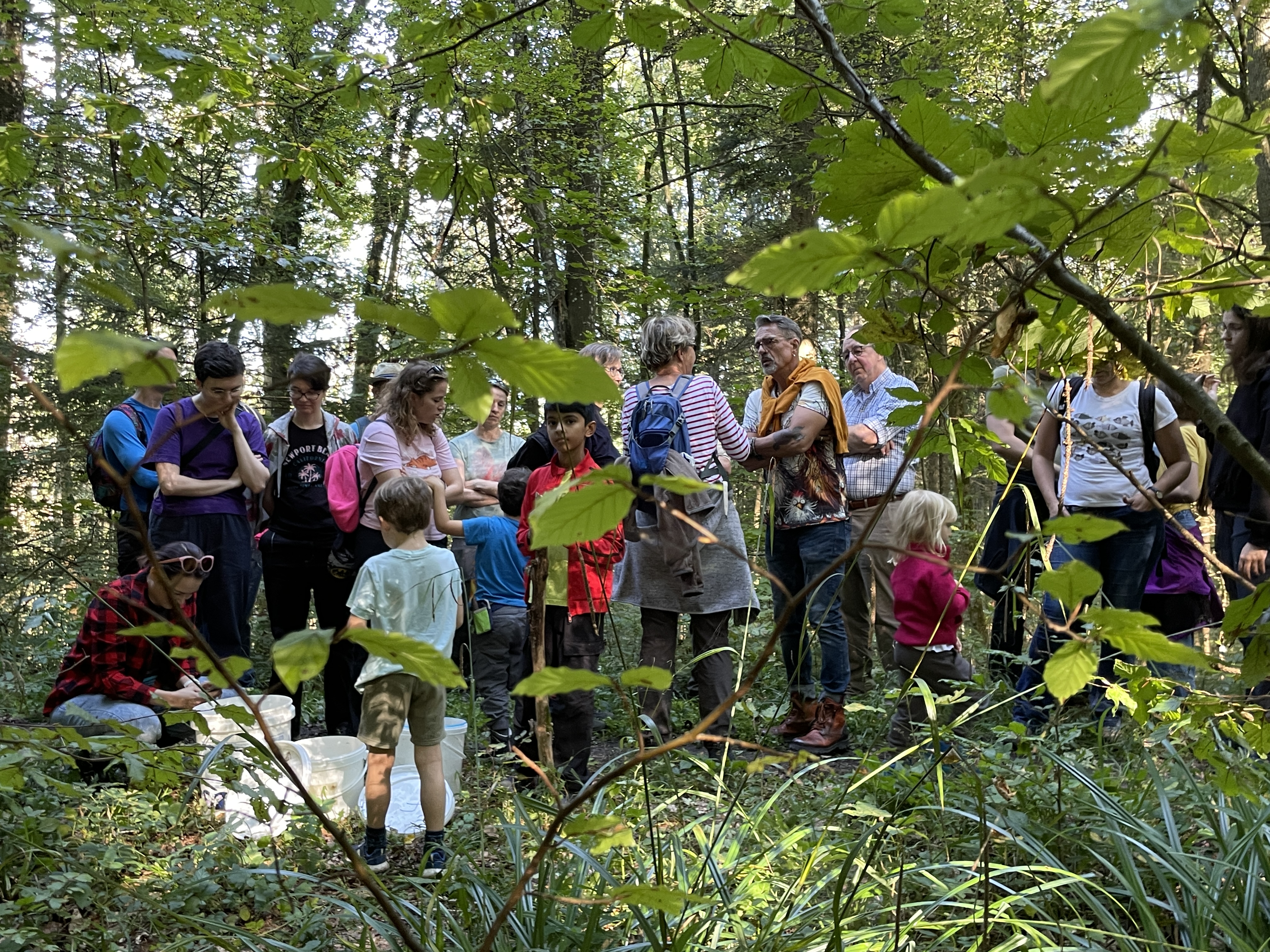 Lively interest in an endangered native species: over 40 members of the friends of Wildnispark Zurich took part in the reintroduction