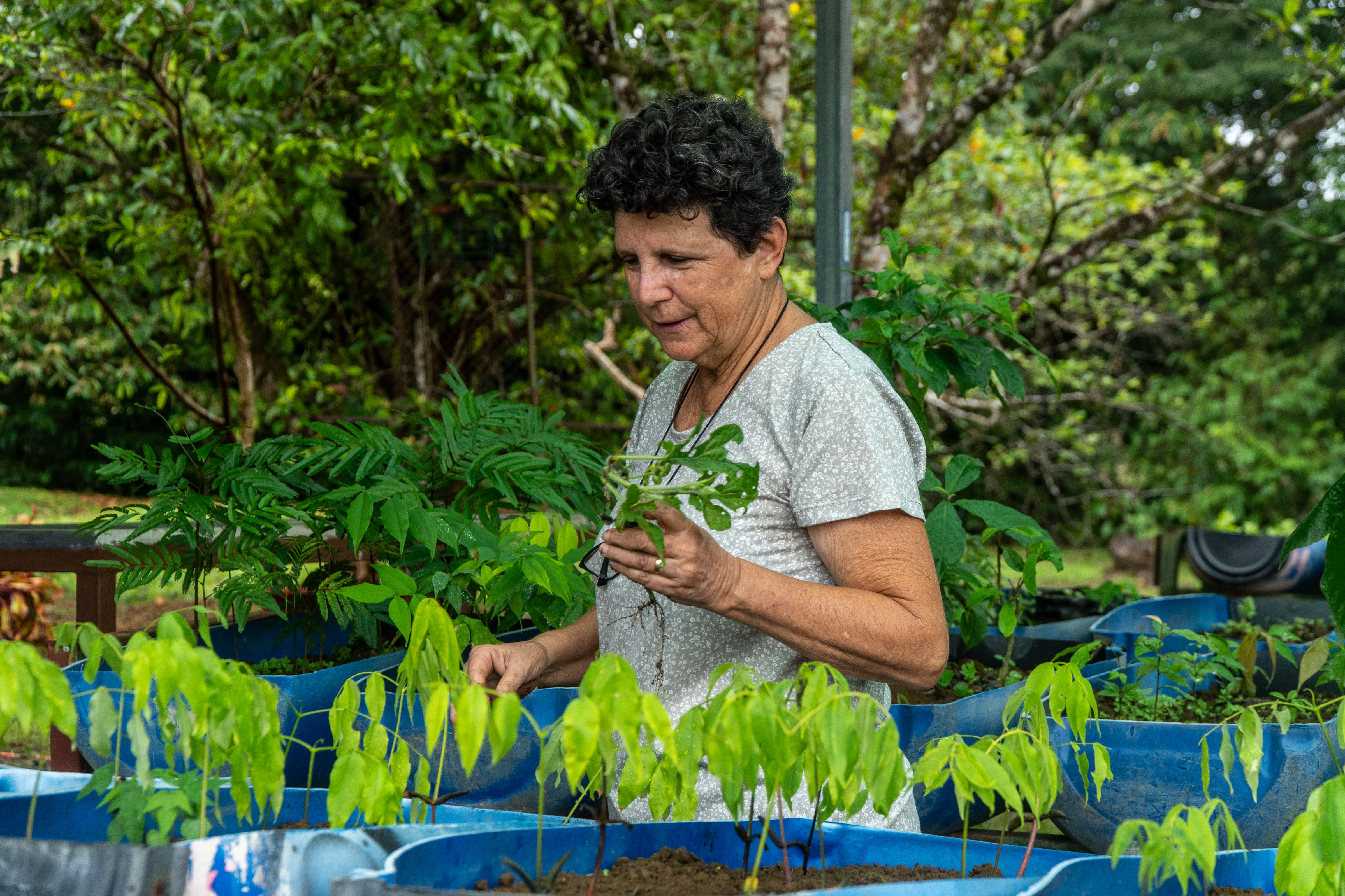 Julie Ross, local entrepreneur, recipient of seed capital