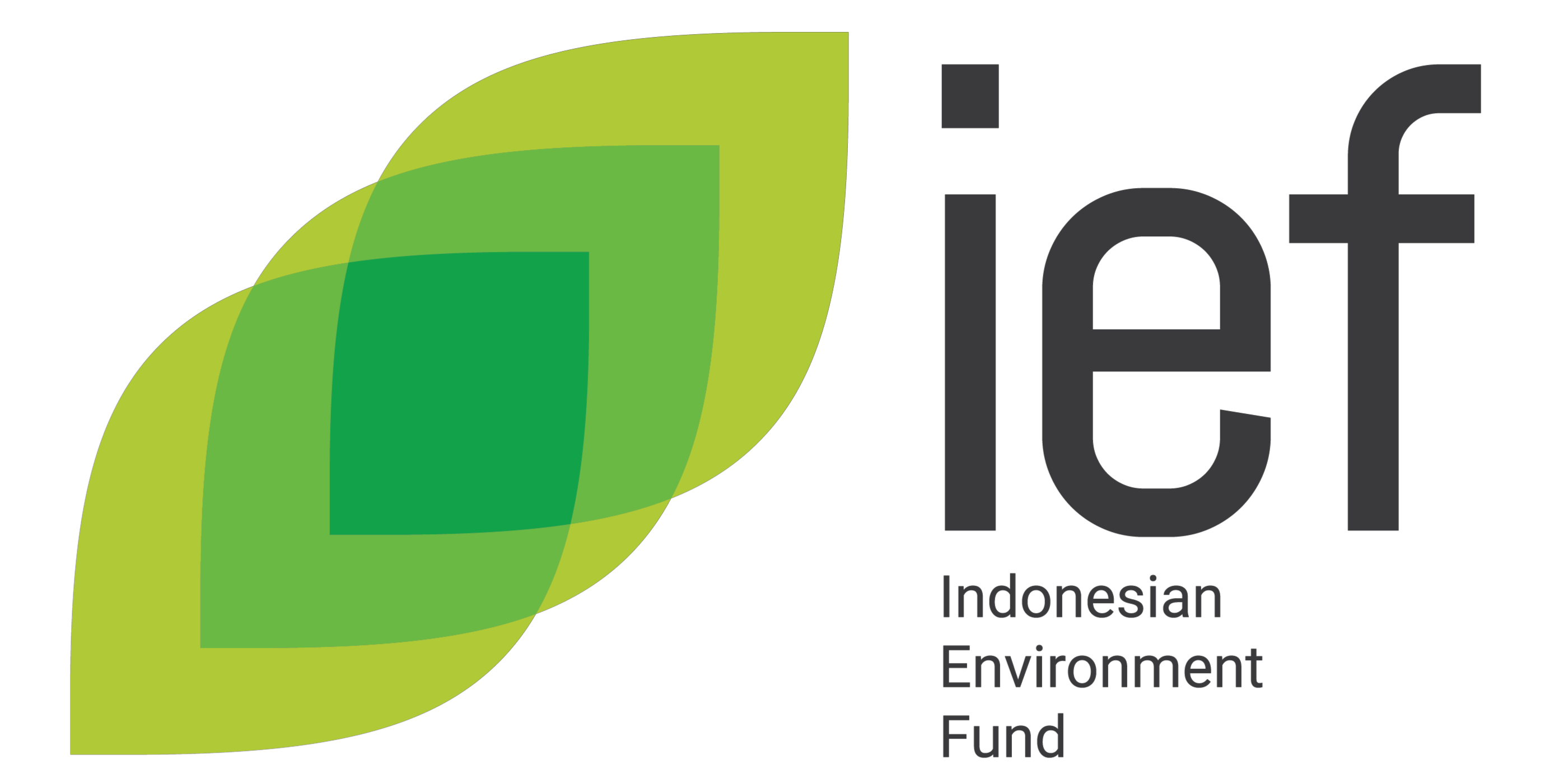 IEF LOGO