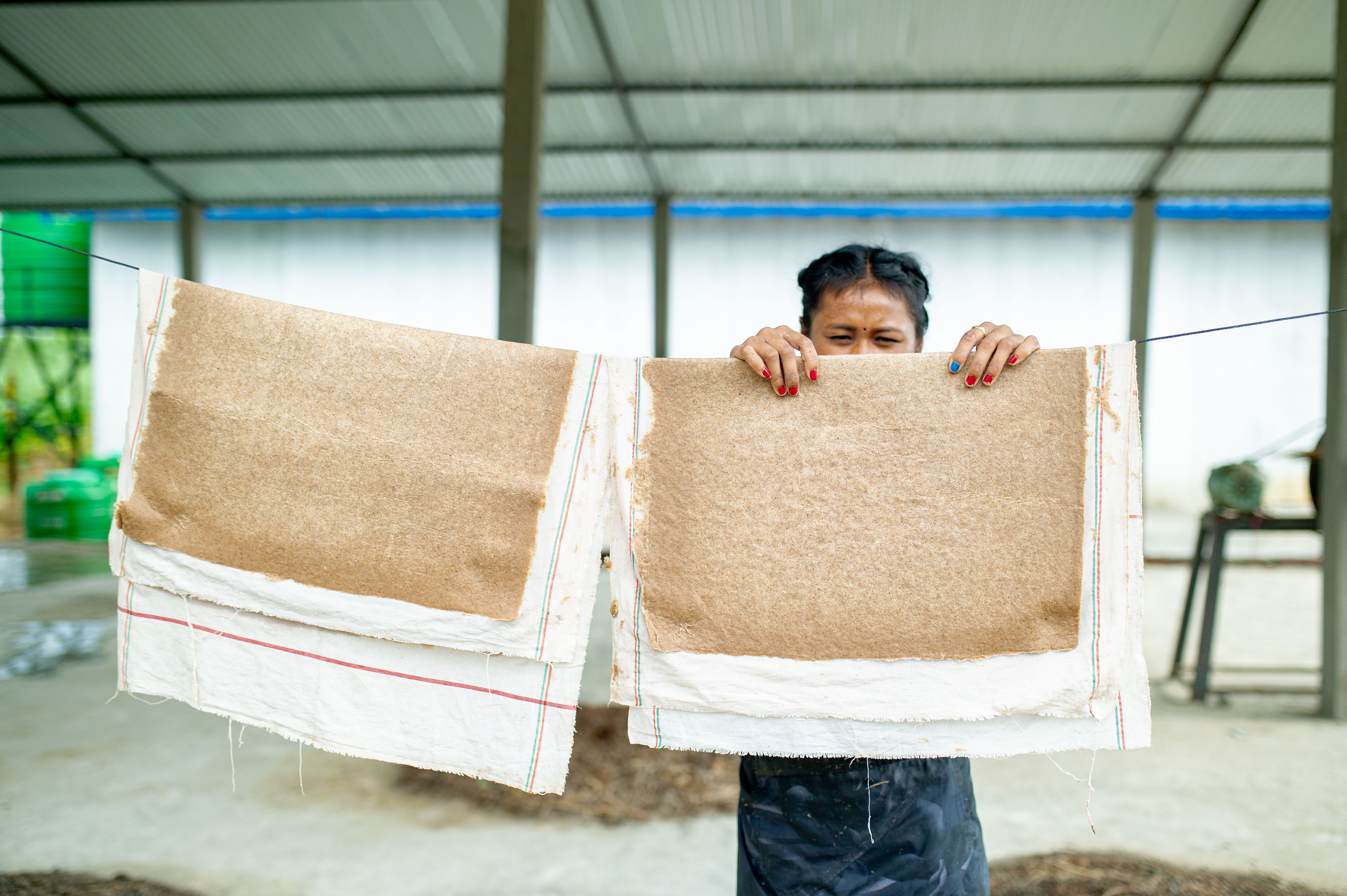 Séchage de fibres de banane pour la production de coussinets