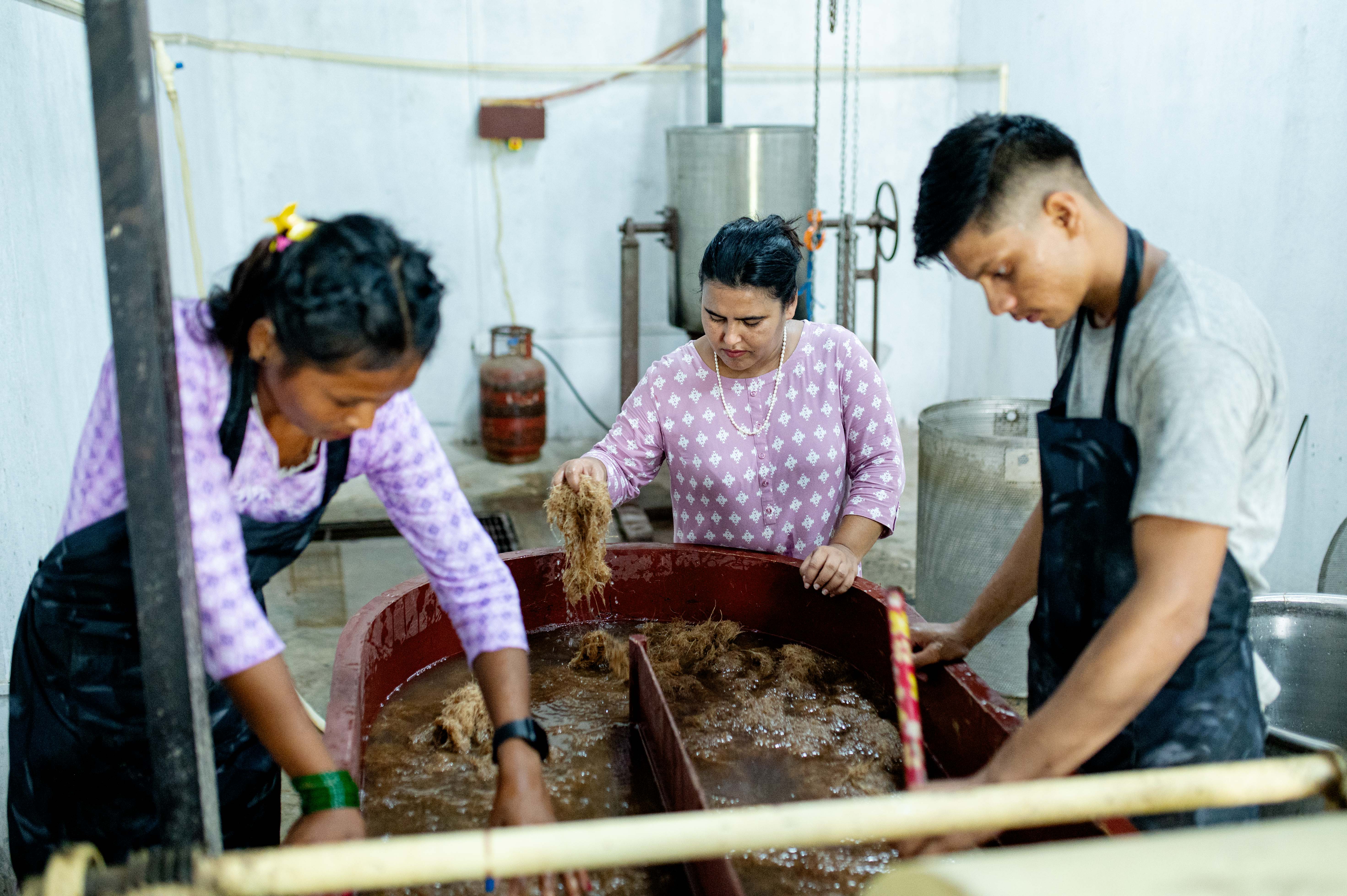 Traitement des fibres de banane pour la production de coussinets