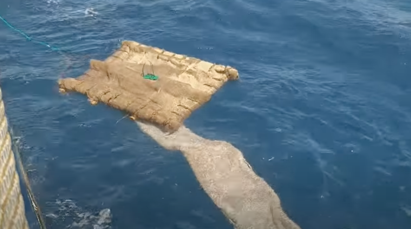 ecofads en el mar