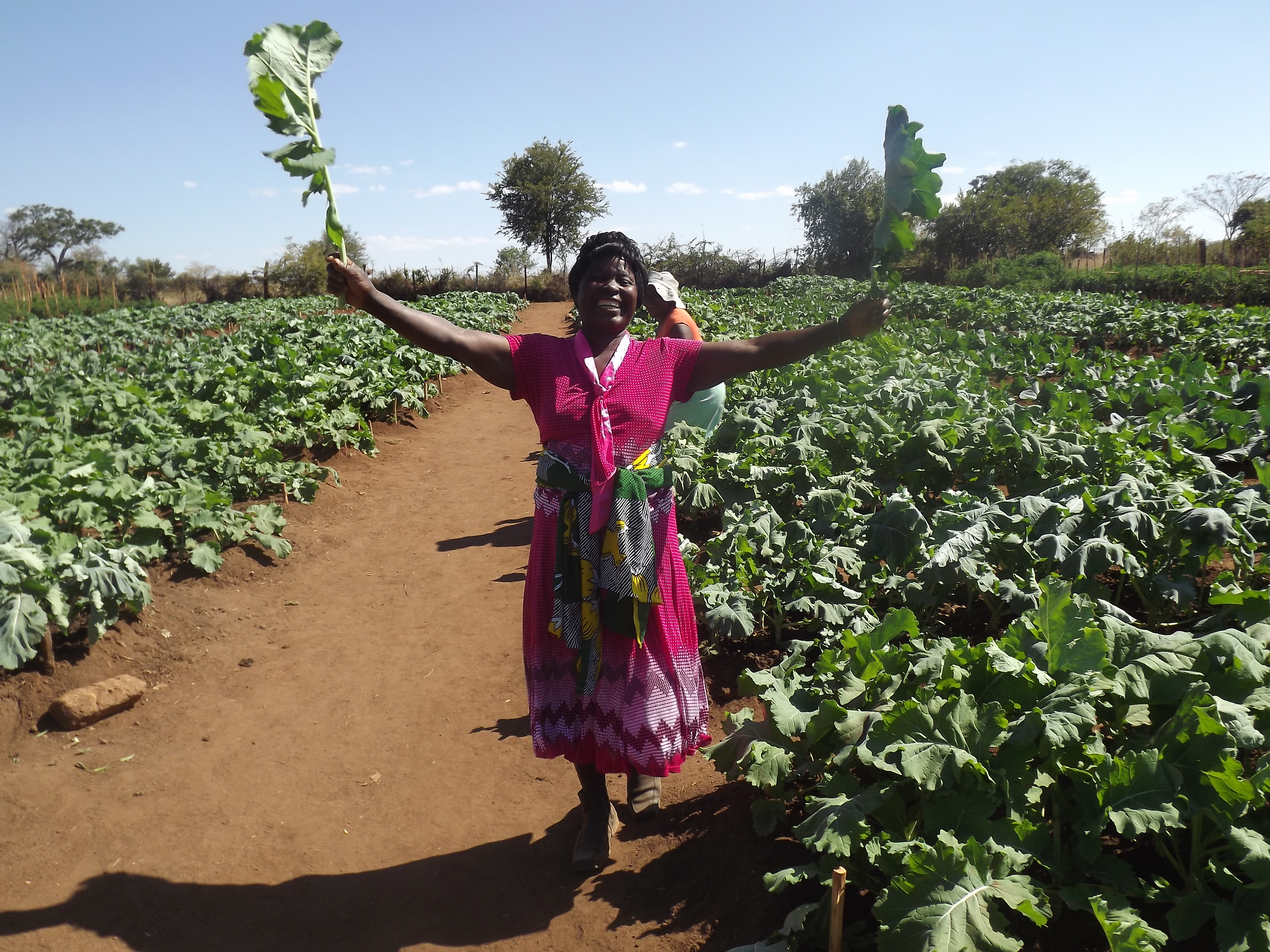 Sécurité alimentaire grâce aux jardins potagers 2014