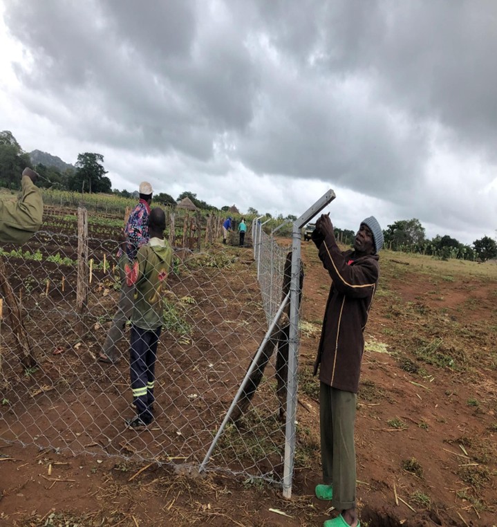 Clôture du jardin potager communautaire pour le protéger du bétail et du gibier