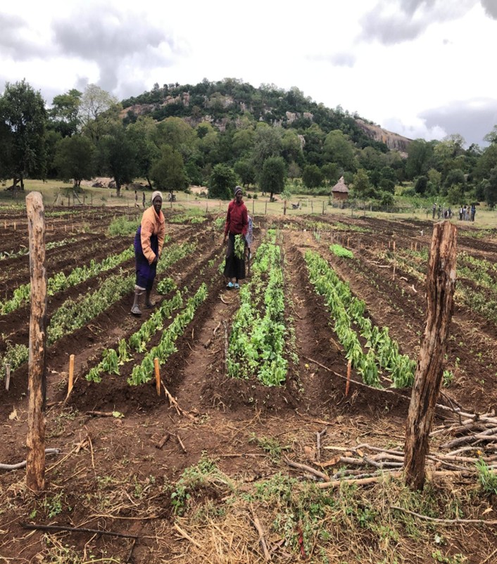 Potager communautaire Village 26