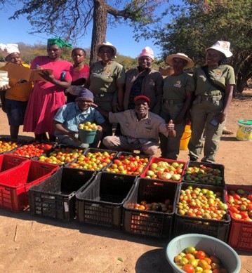 SWC achète des légumes au jardin potager communautaire établi pour assurer l'accès au marché et un revenu supplémentaire aux ménages.
