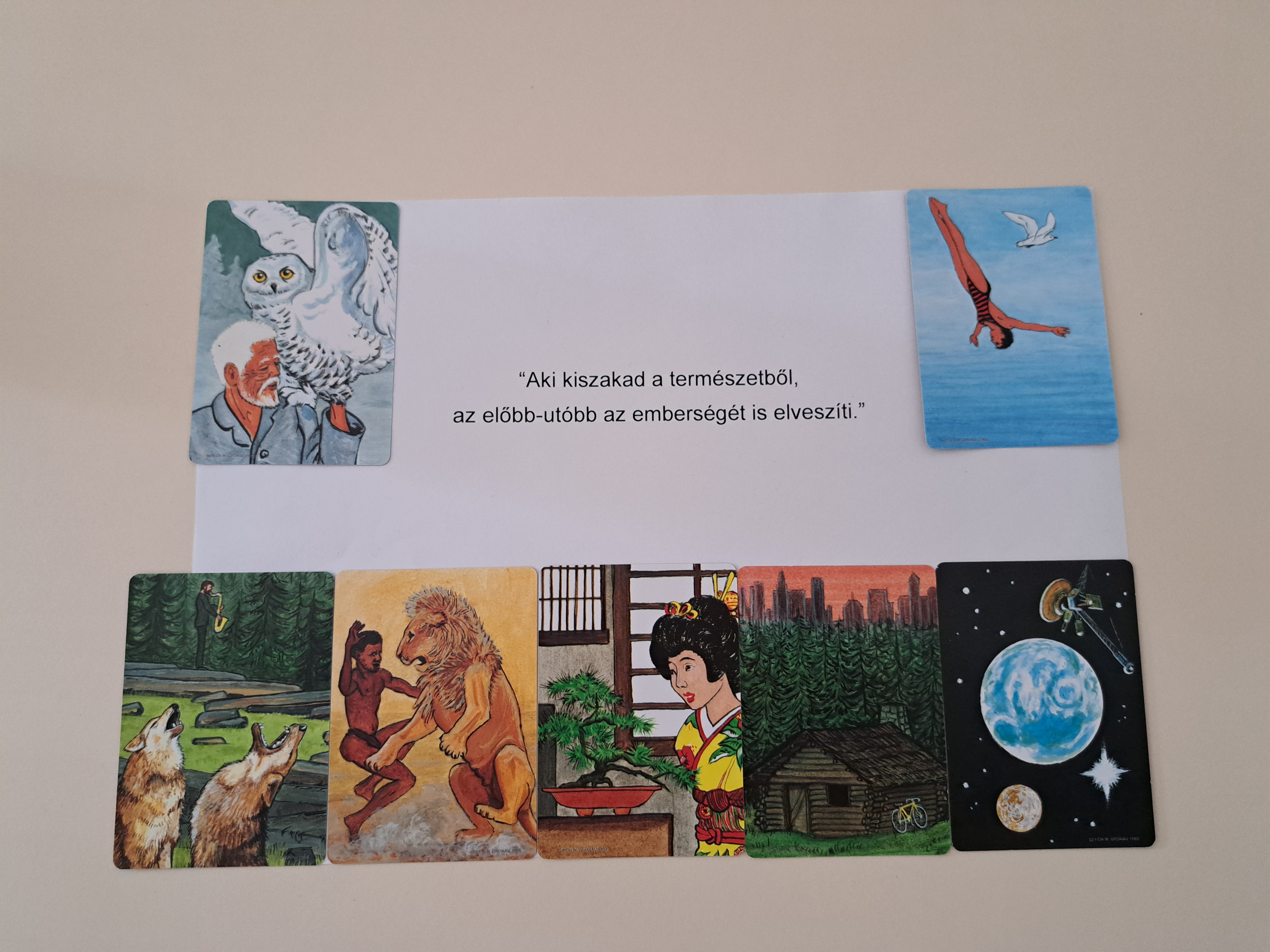 Mood cards picked by students to reflect on the participatory theatre play