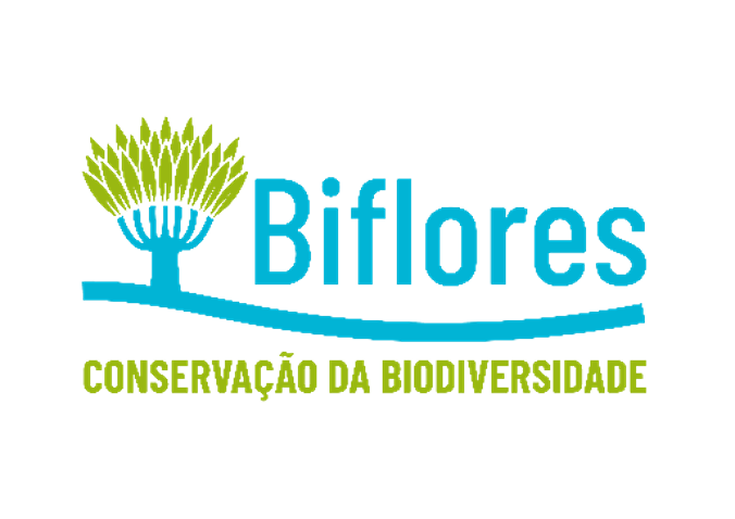 Biflores
