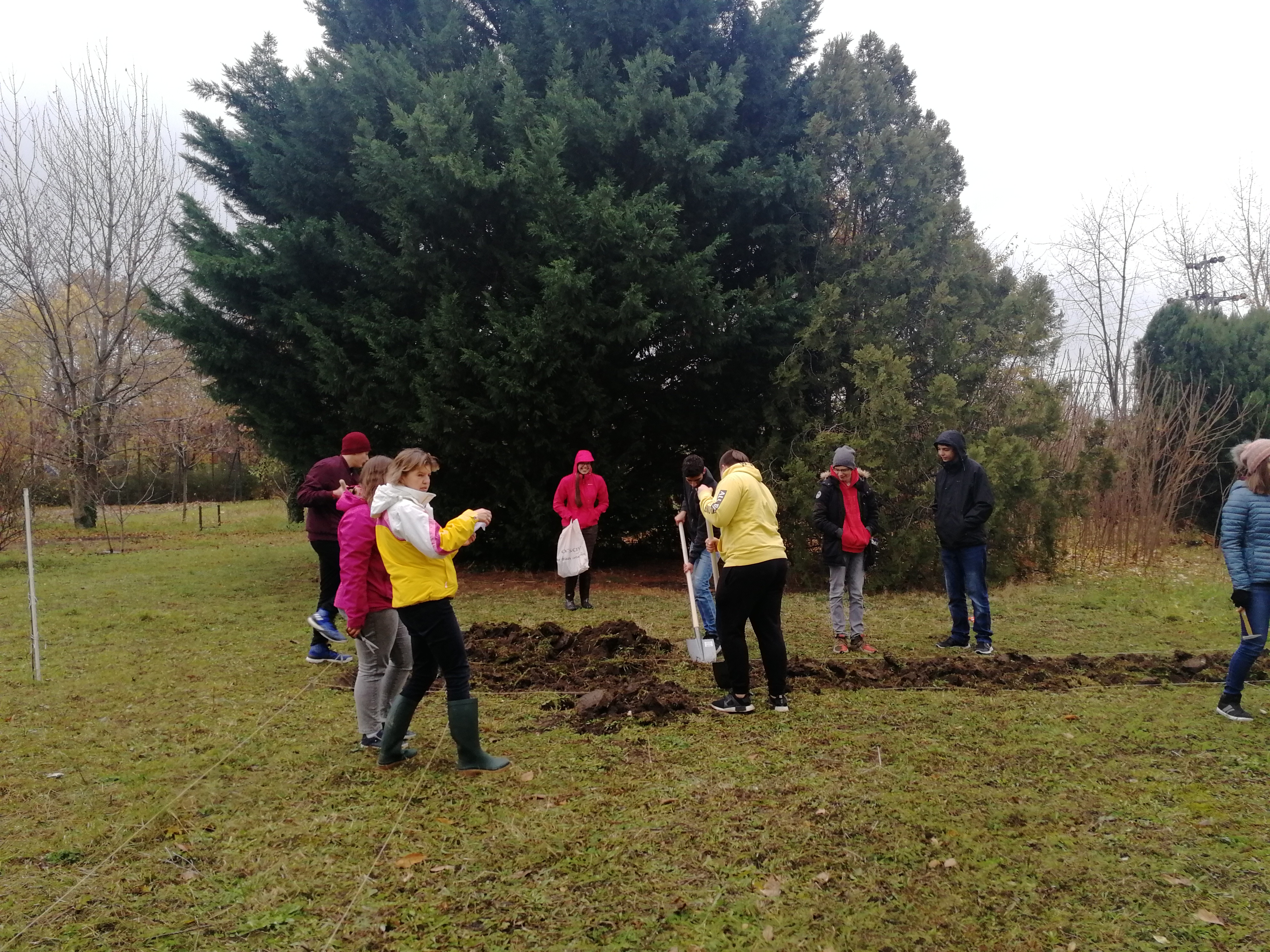 The garden coordinator teacher and the students co-creating the garden