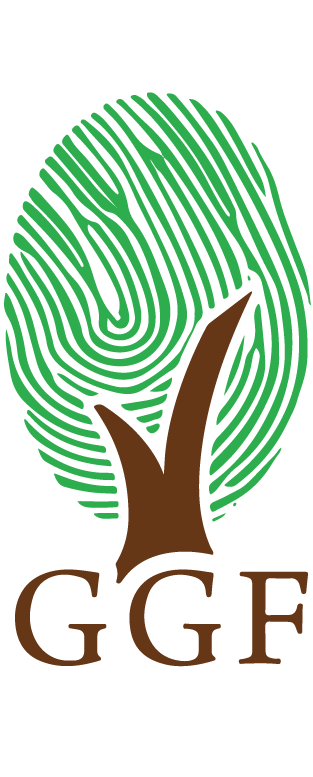 This is the logo for the Green Generation Foundation (GGF). It features a green tree whose canopy forms a fingerprint pattern, symbolizing a connection between nature and individual impact, with the acronym "GGF" printed below. 