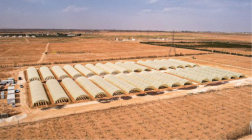Caption: The farming cluster in Al Za’atari