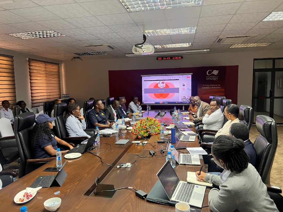 The picture shows participants of the Green Finance Mainstreaming Working group, fund managers, and representatives from CEC Renewables around a table in a meeting 