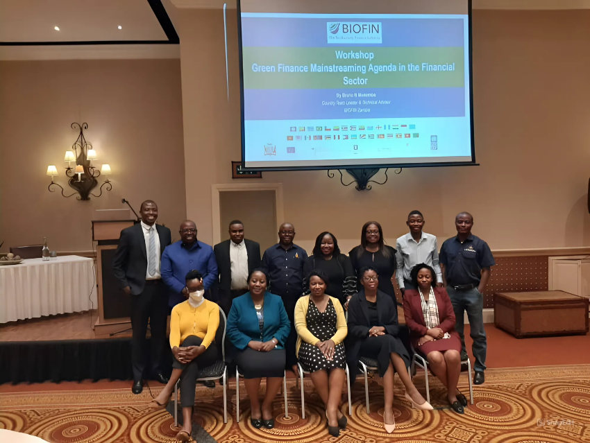 The picture shows participants of the Green Finance Mainstreaming Agenda in the Financial Sector Workshop. Behind them, a screen shows the title of the workshop.. 