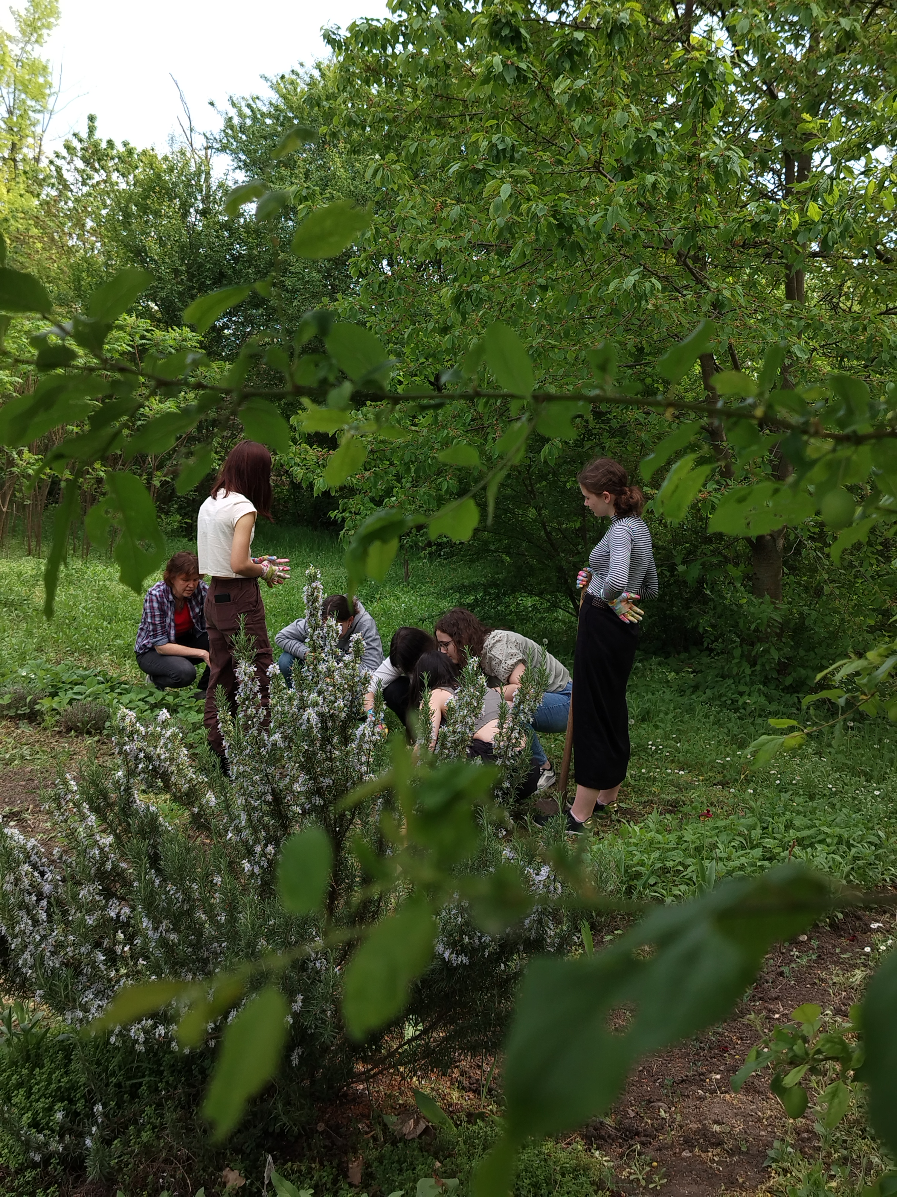 Students working in the school garden. Picture taken by a student as part of the Photovoice Study