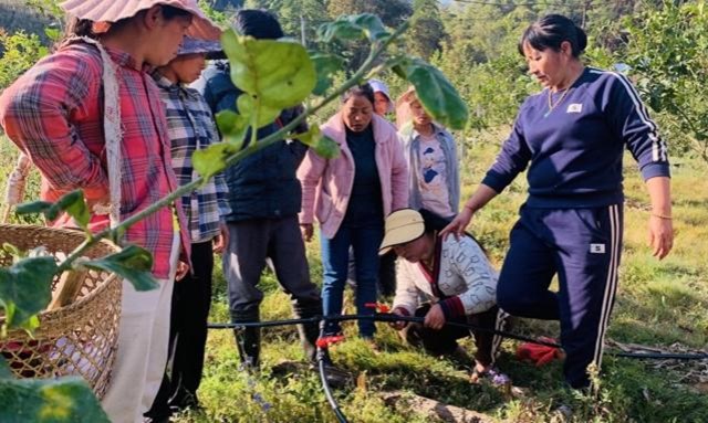 Yang Ruidong (right) showed the members of the cooperative the water-saving irrigation system