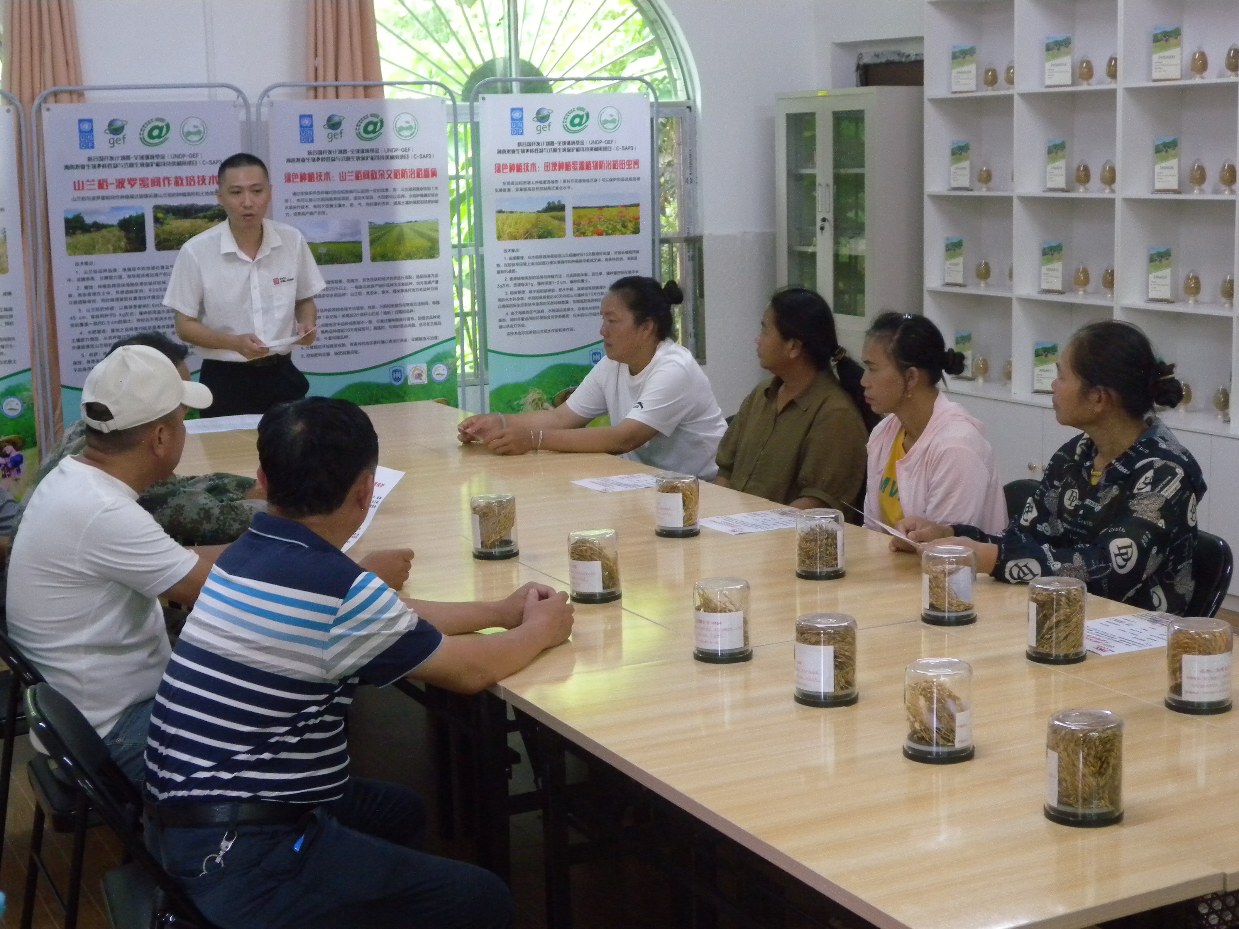 The whole industrial chain insurance demonstration of Shanlan rice was carried out in Nanwan Village, Shang'an Township, Qiongzhong County. In October 2024, the torrential rain caused serious damage to all 311.56 mu of insured fields of Shanlan rice in Nanwan Village, and 80 farmers received a total compensation of 249,248 RMB.