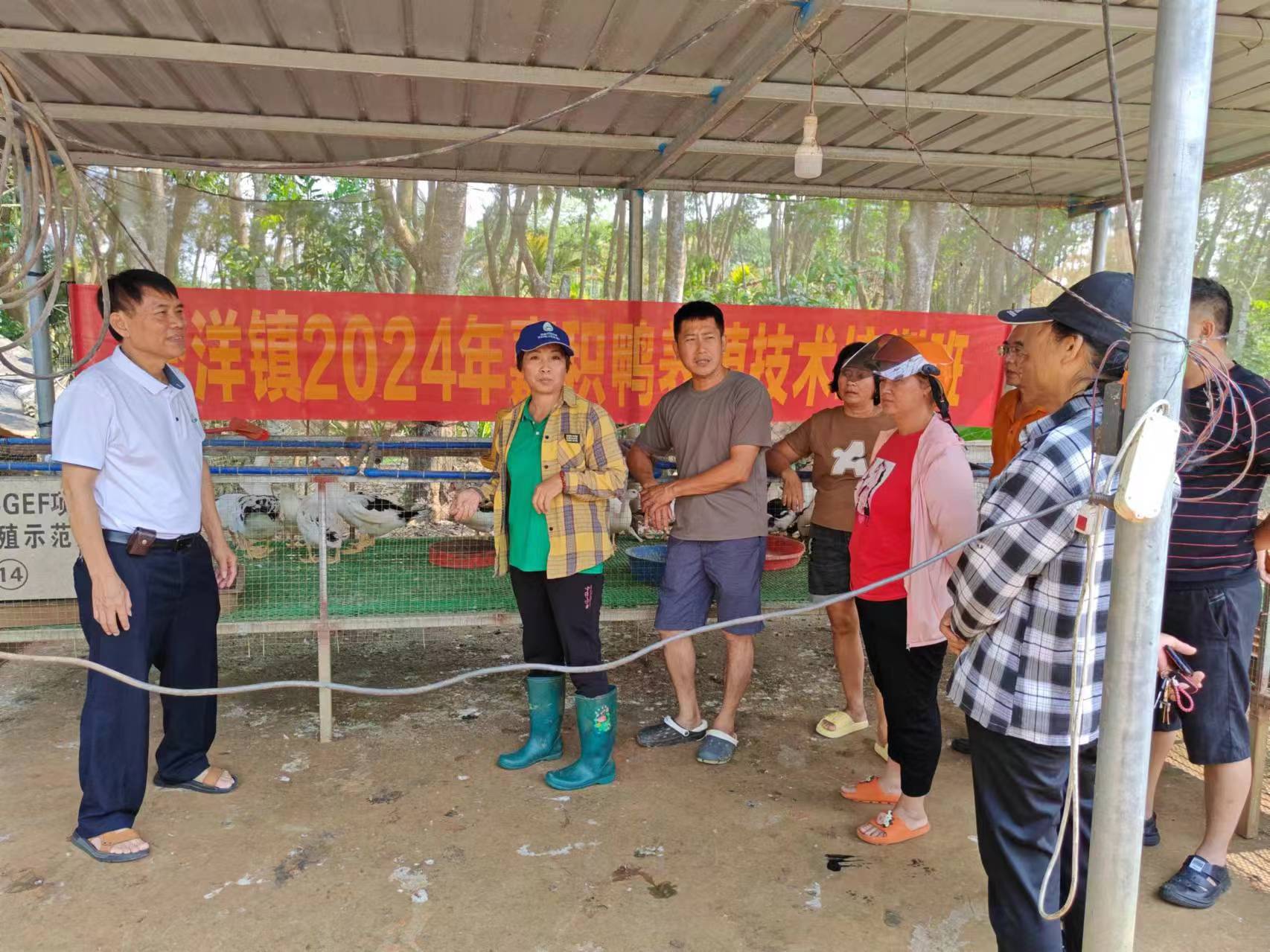 Jiaji duck net-bed breeding technology piloted and the  breeding technology training, held in Qionghai City