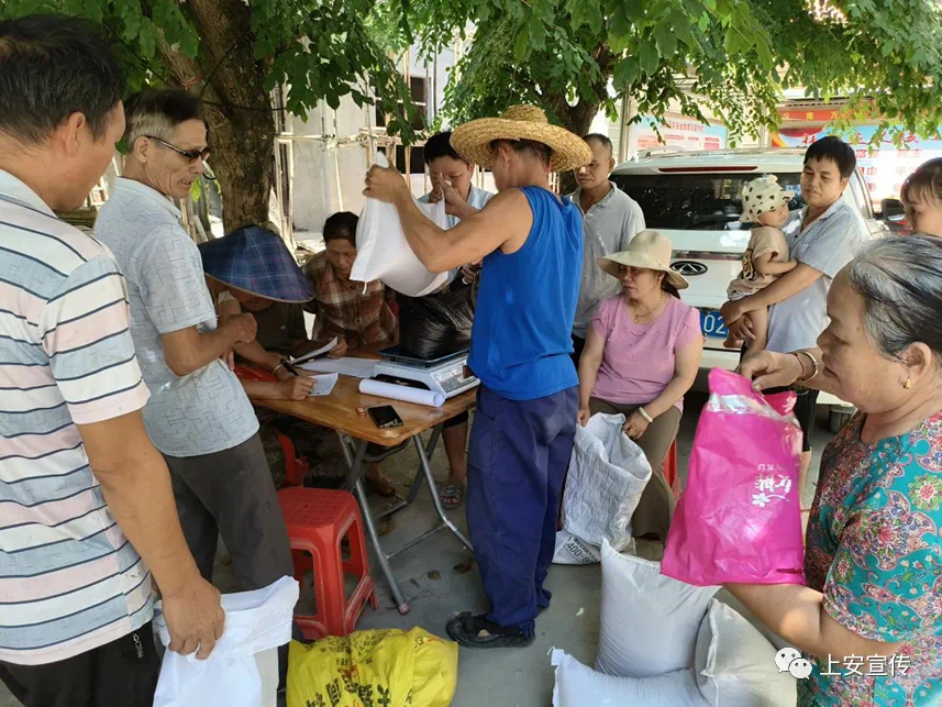 Farmers receive the seeds of Shanlan rice, and the pattern of “contract farming” attracts more farmers to engage in planting Shanlan rice.