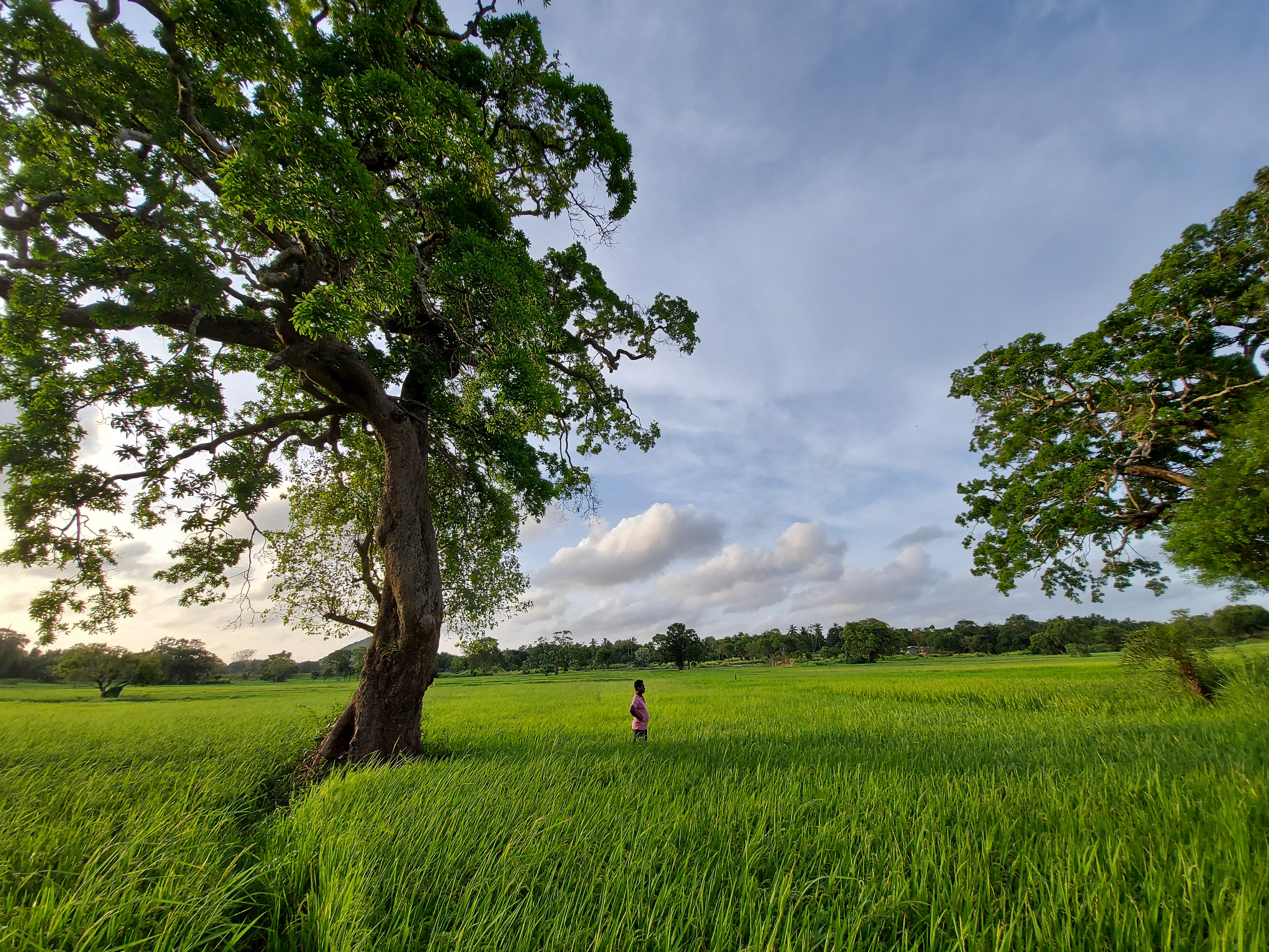 One tank of cascade system
