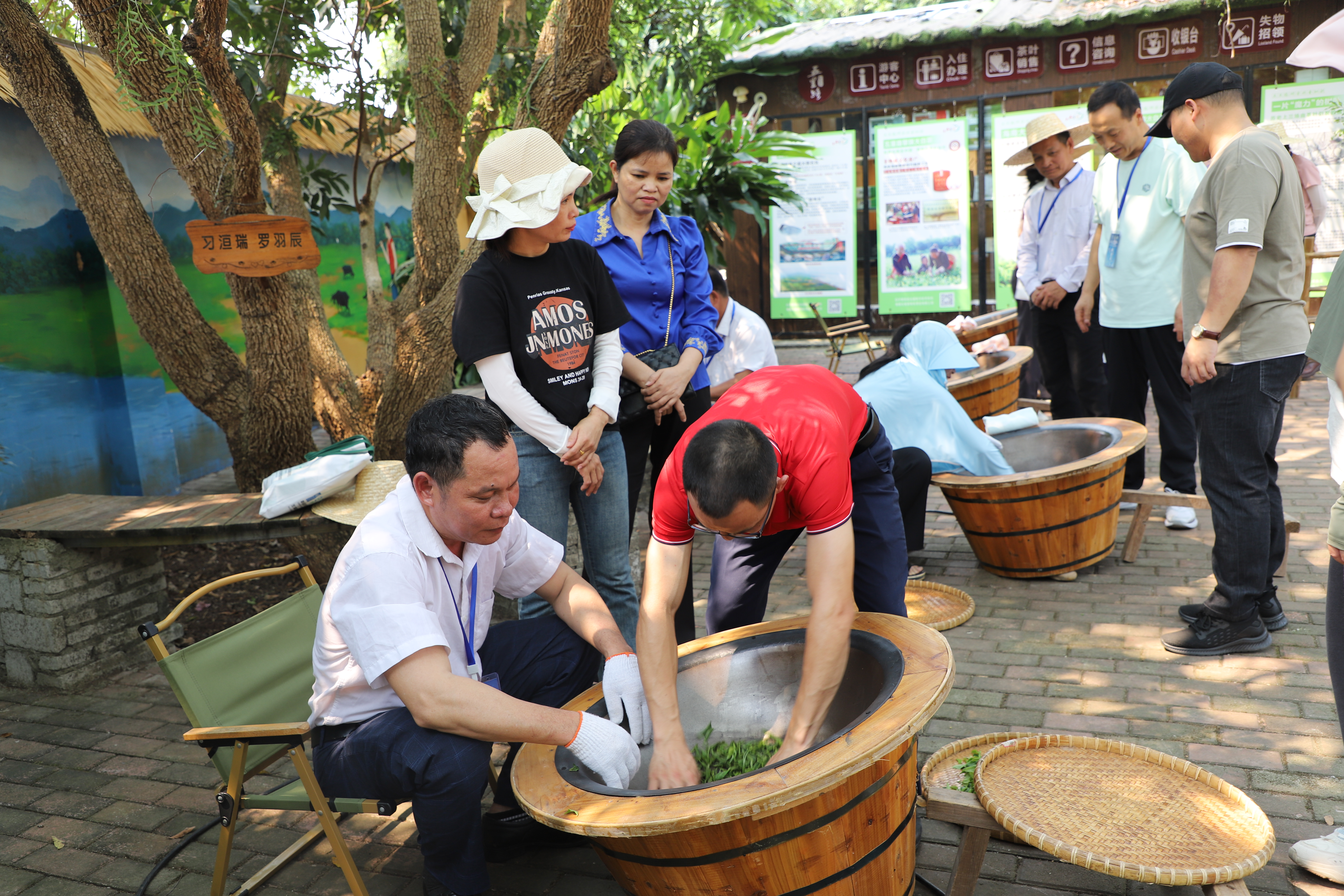 6 training sessions on Hainan big leaf tea planting and processing held.