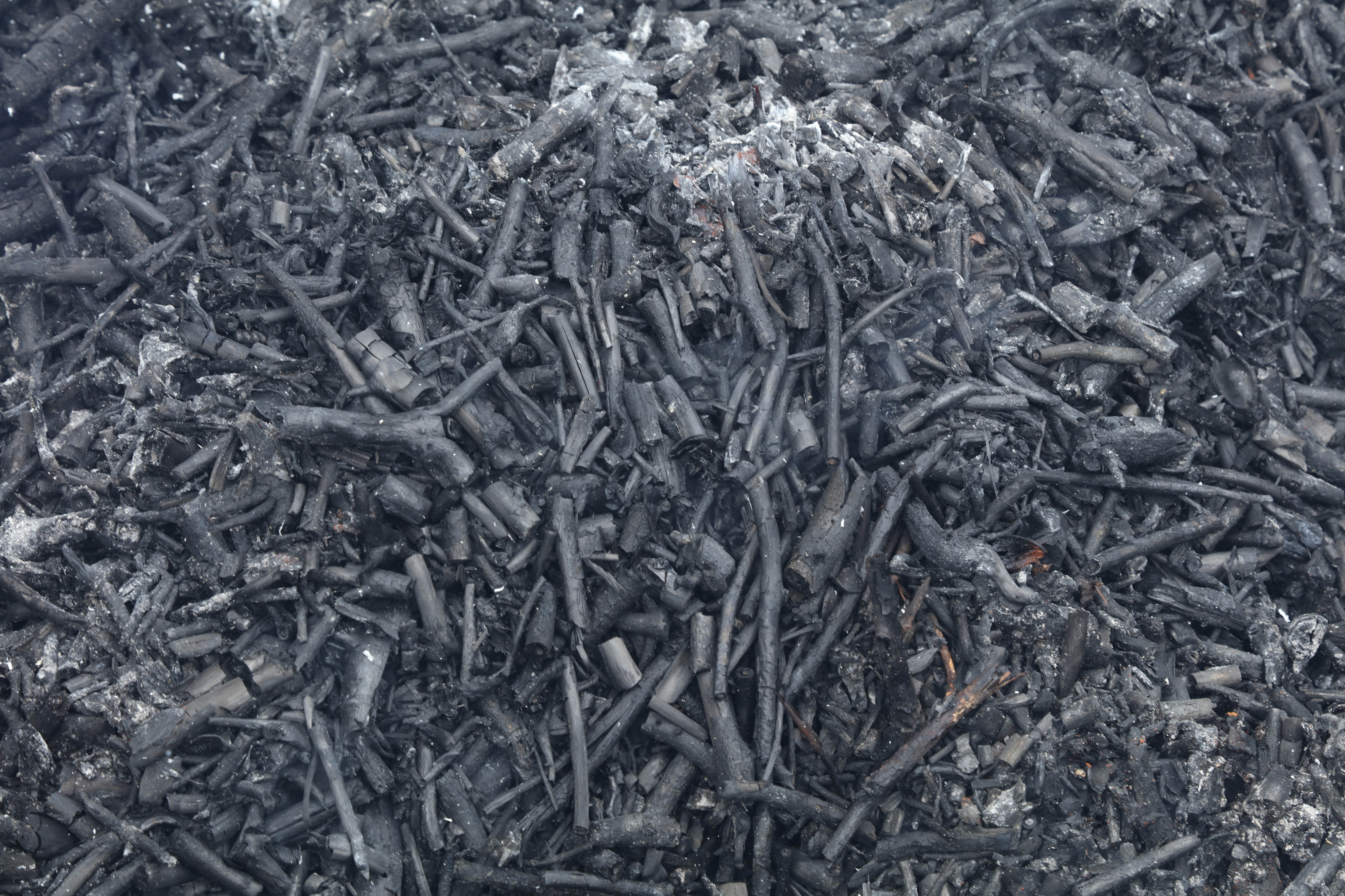 Biochar