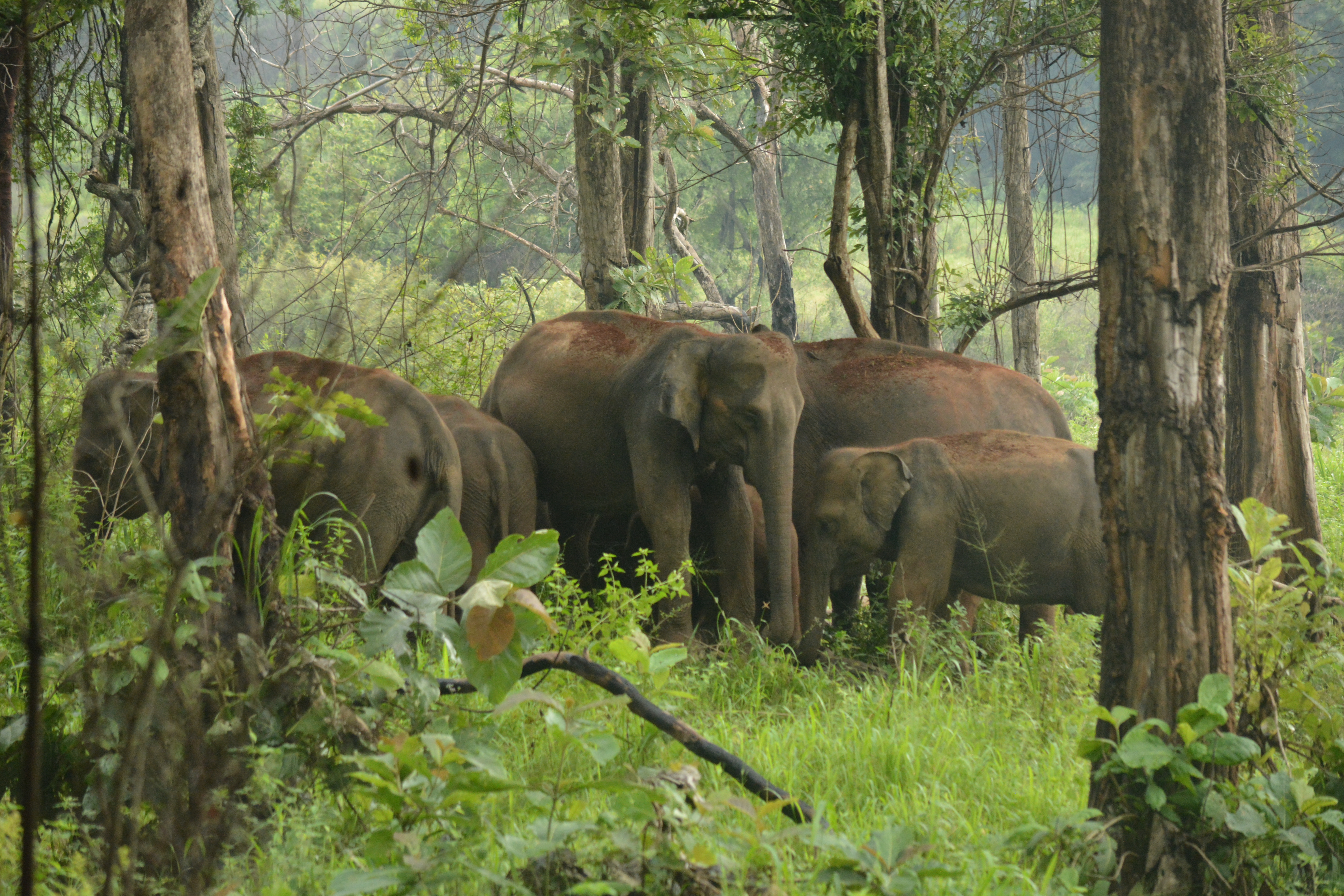 One tank of cascade system
