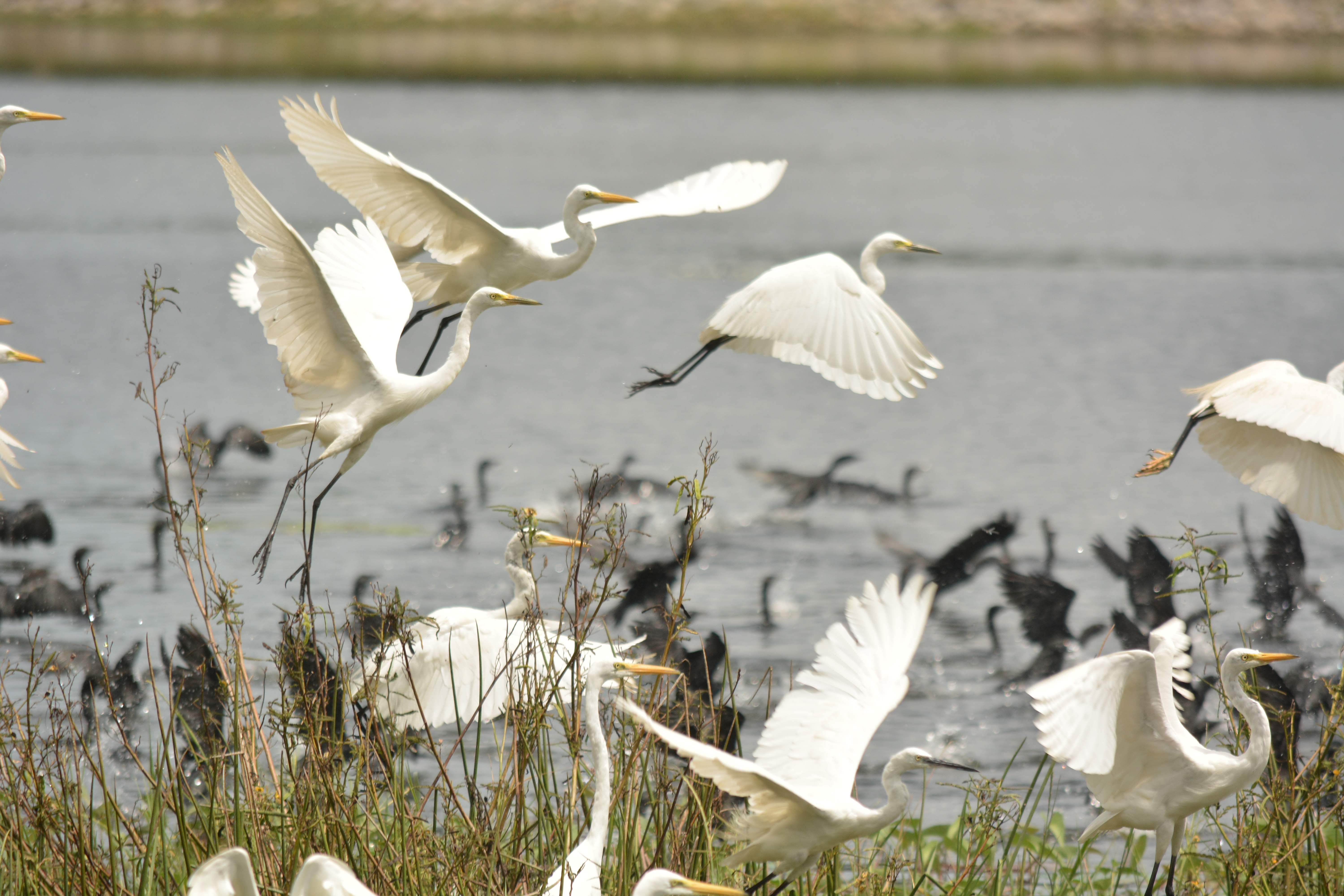 One tank of cascade system