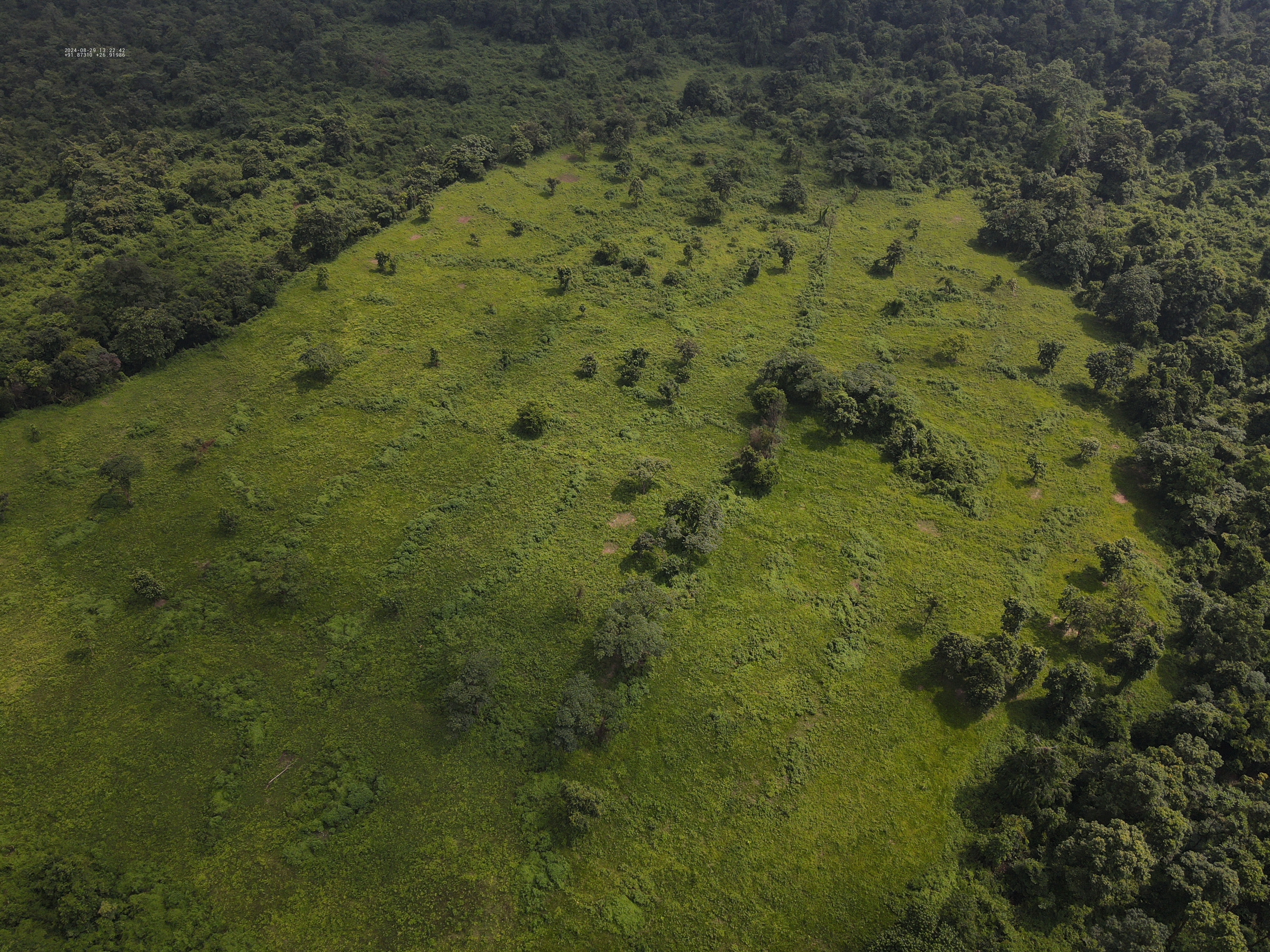 Nunai Grassland Management