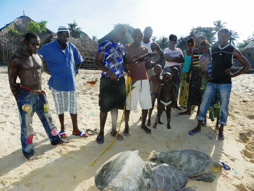 E. Aruna, Reptile and Amphibian Program – Sierra Leone