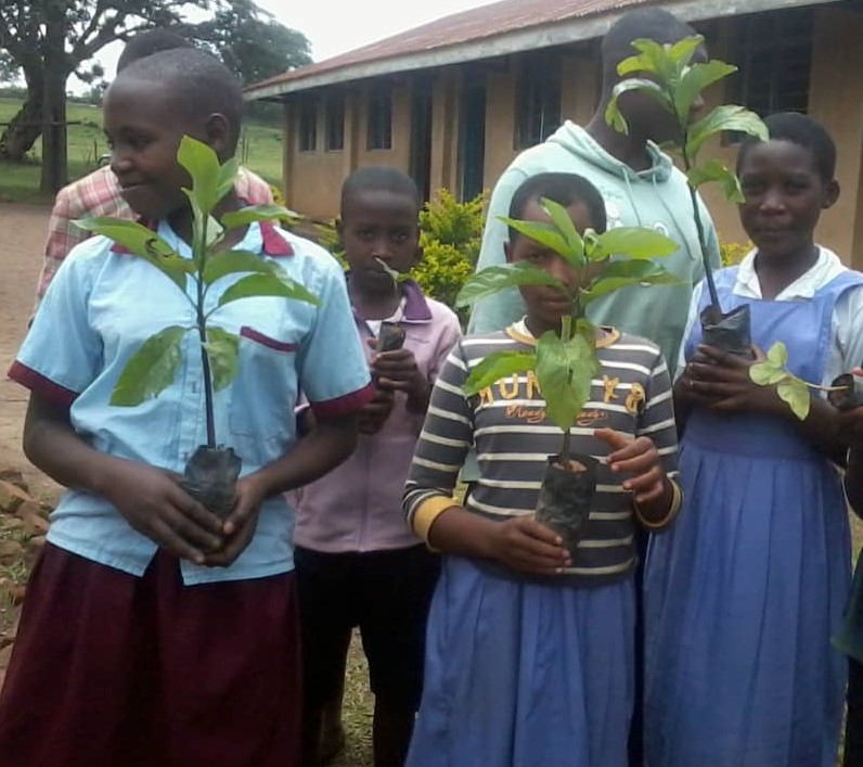 Tree Uganda Academy
