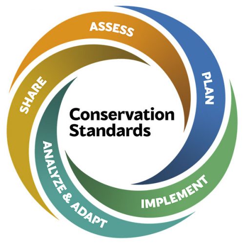 Conservation Standards
