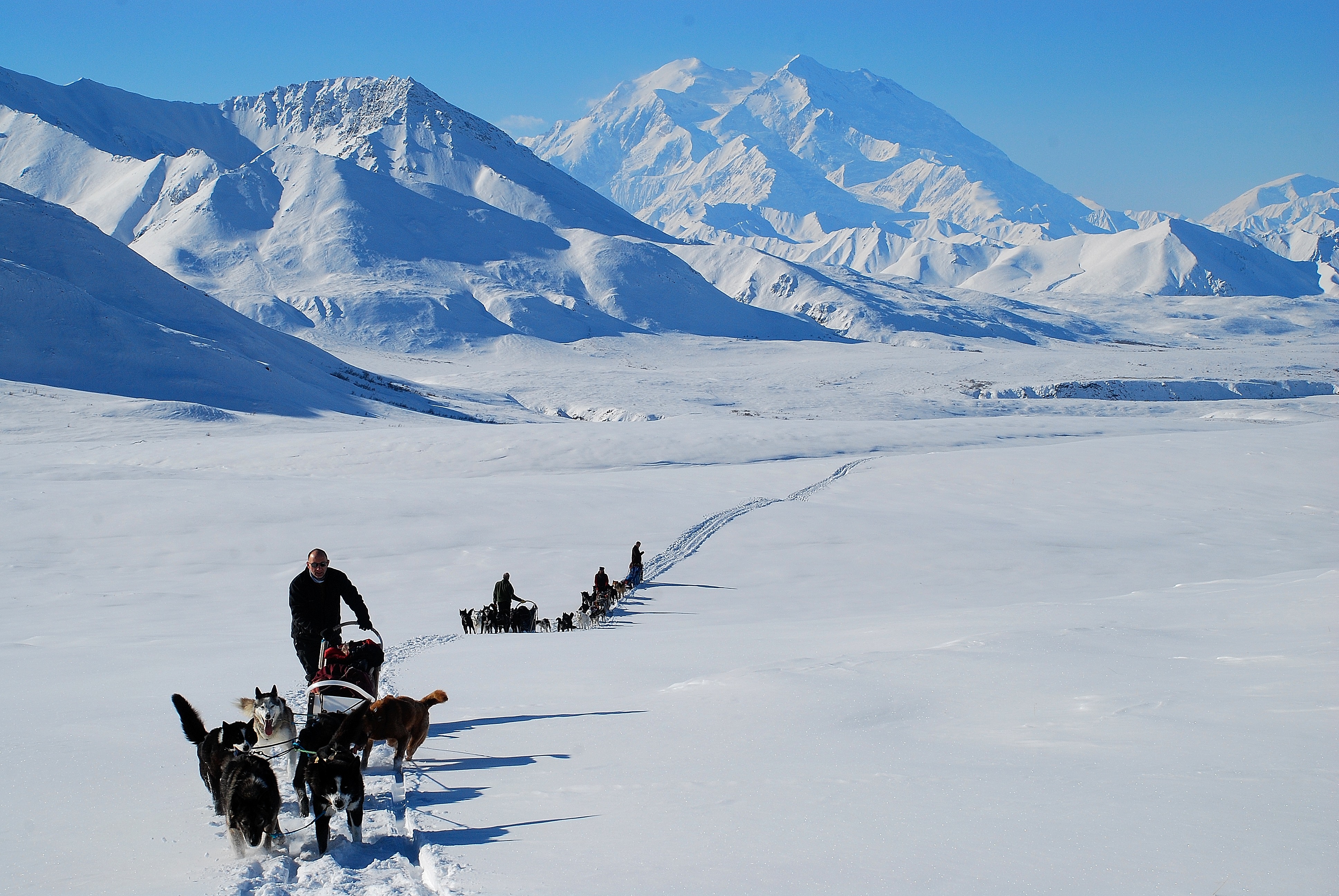 Alaska Dogsled Tours