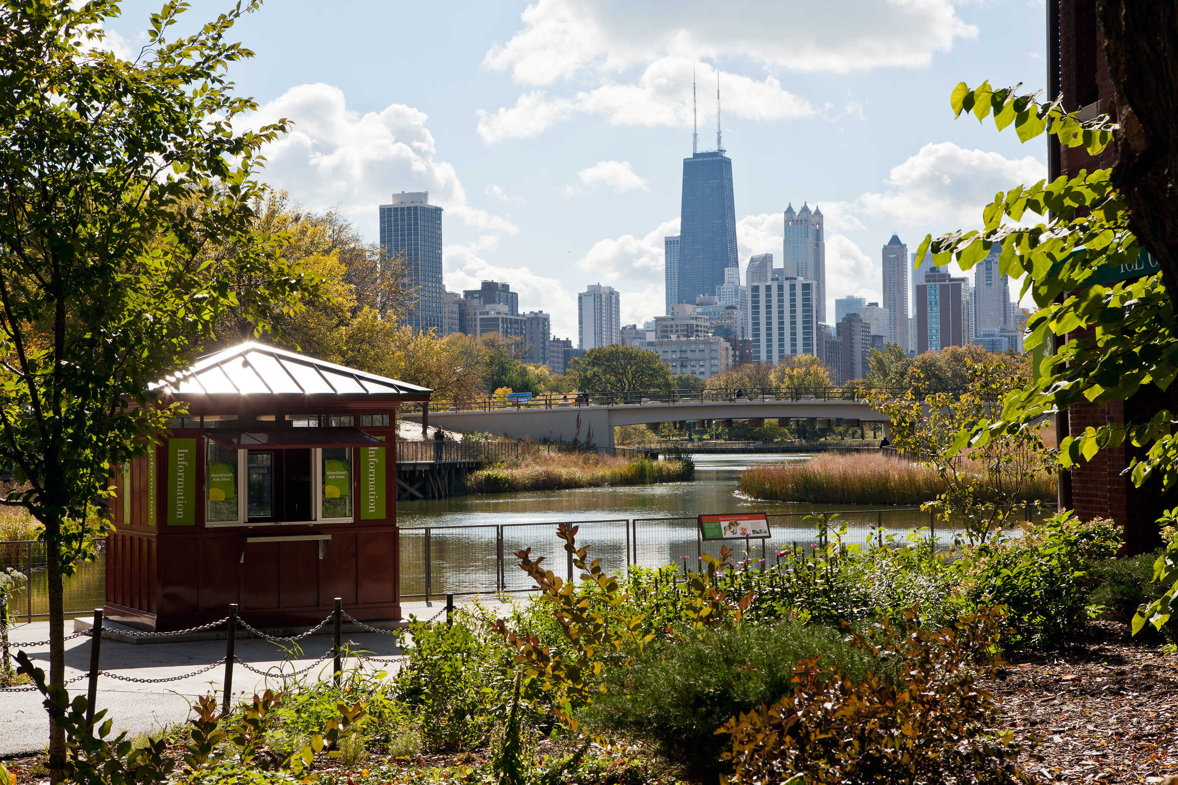 Nature Boardwalk at Lincoln Park Zoo: a haven for native wildlife