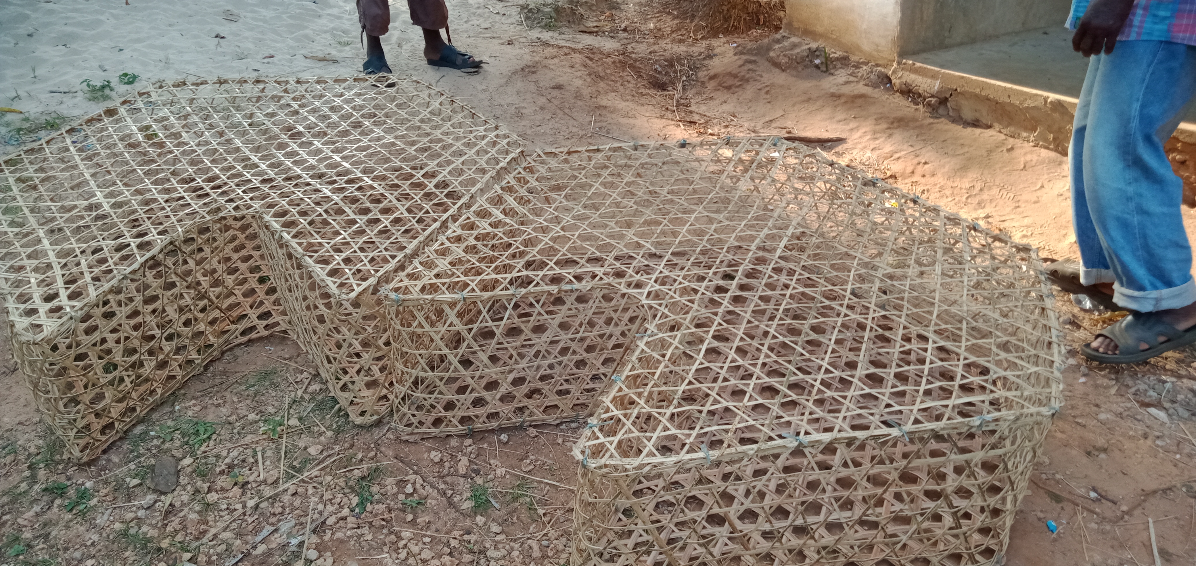 Sustainable basket trap fishing:Uptake of modified basket traps in