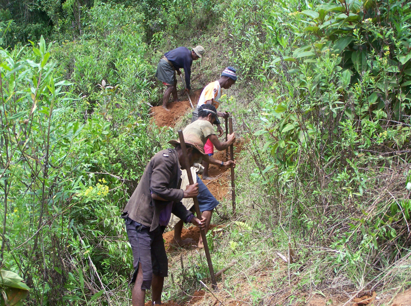 Restoration of Moist Tropical Forest (Fandriana-Marolambo Landscape in ...