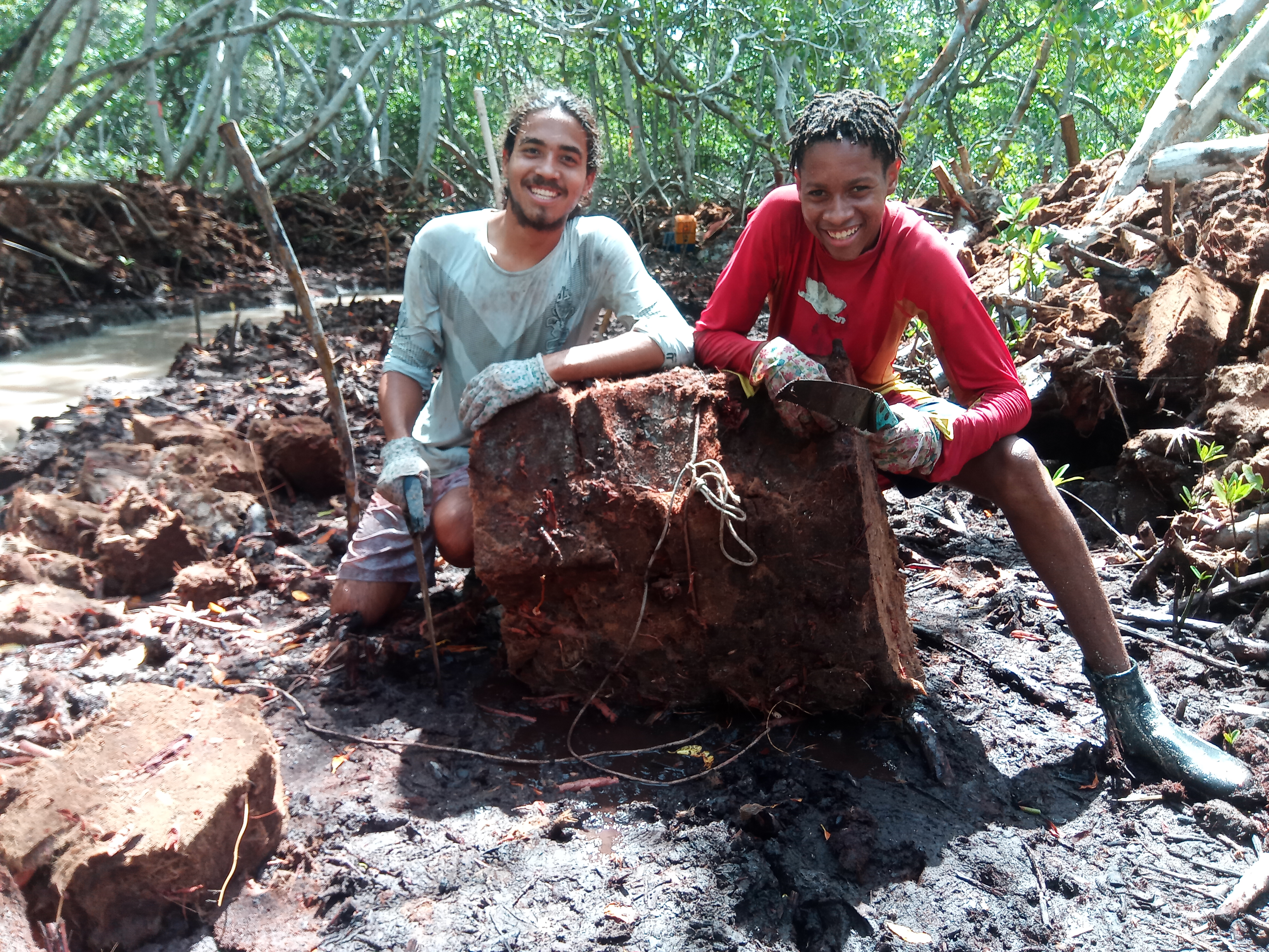 Mangrove Maniacs