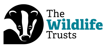 The Wildlife Trusts badger logo