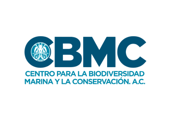 CBMC