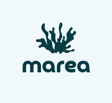 Marea logo and name of organisation