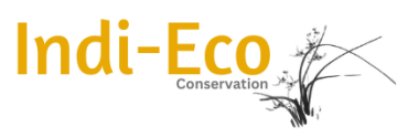 The name Indi-Eco Conservation with a grass tuft to the right