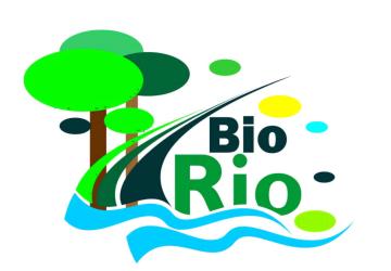 Logo of the BioRio Association, featuring graphic elements representing the Amazon rainforest and river. On the left, stylized trees with green canopies and brown trunks are depicted. A winding path runs through the center of the image, resembling a river, leading to the highlighted words “Bio Rio.” Surrounding the design are rounded shapes in green, blue, yellow, and black, symbolizing biodiversity. The visual conveys the connection between nature, territory, and community life.