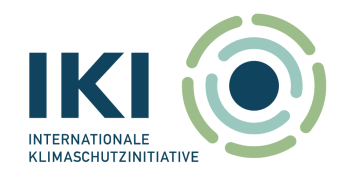 IKI Logo