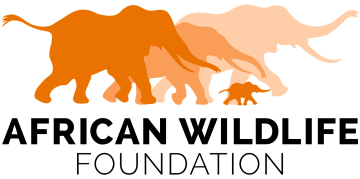 African Wildlife Foundation logo