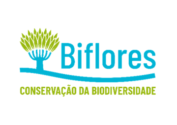 Biflores