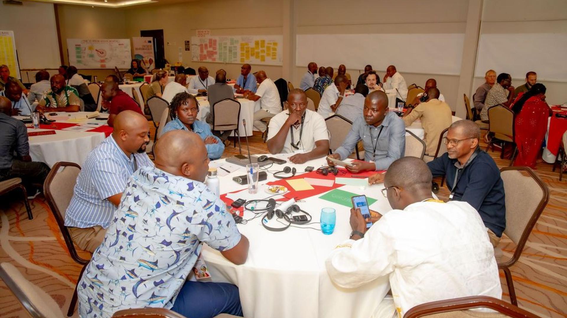 PANORAMA at SOS AWI Writeshop in Nairobi, Nov. 2024