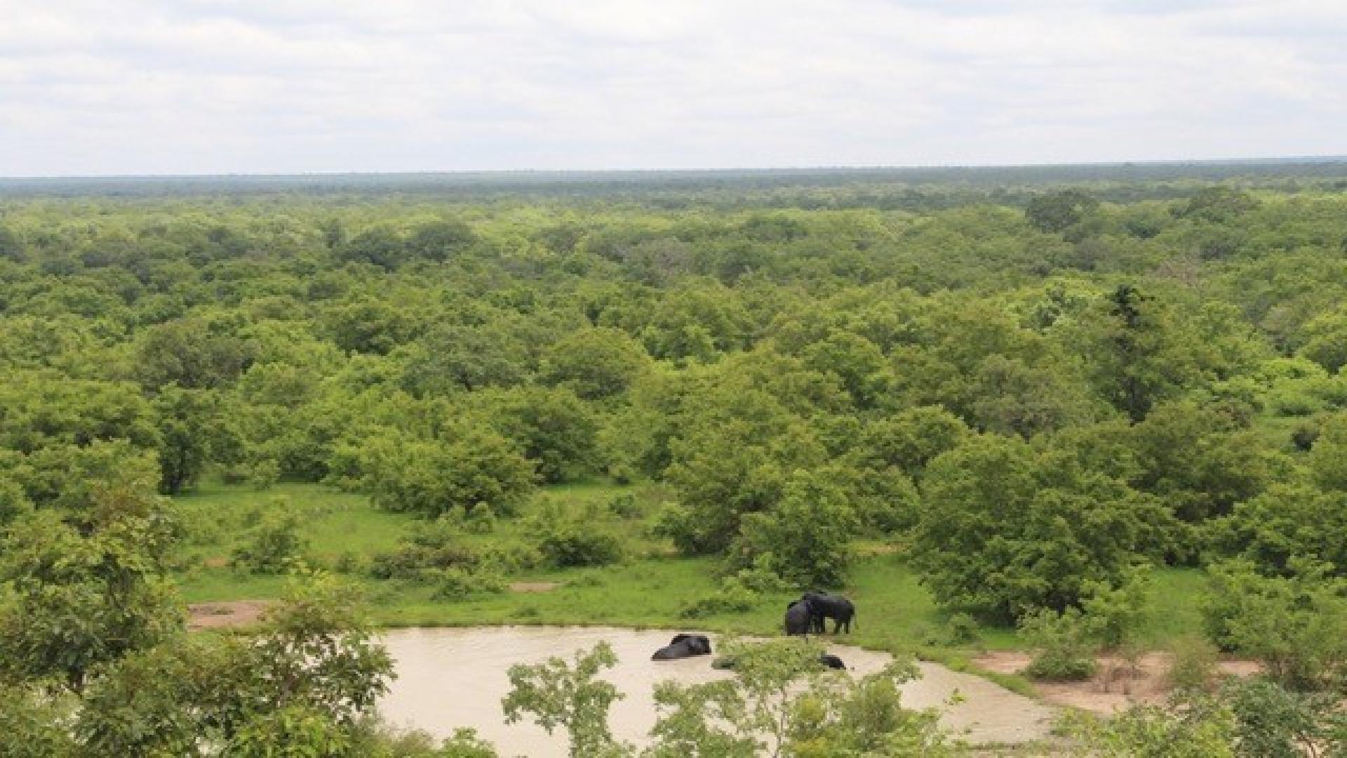 Mole National Park-ImageMole National Park-Image by Daryl Bosu by Daryl Bosu