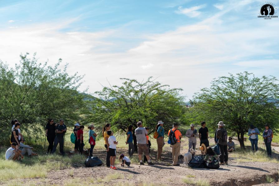 Caminantes del Desierto
